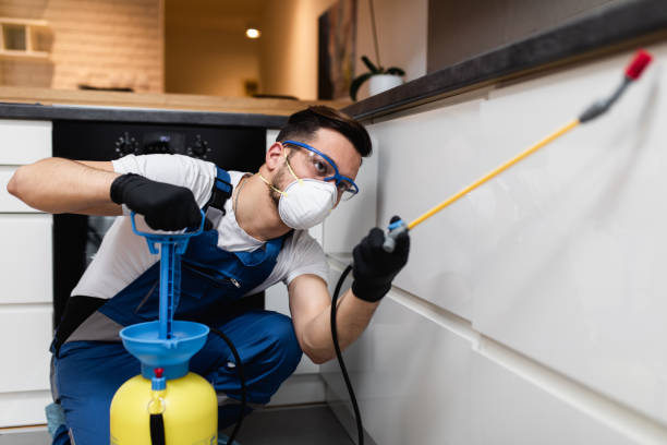 Best Termite Control Services  in Eastman, GA