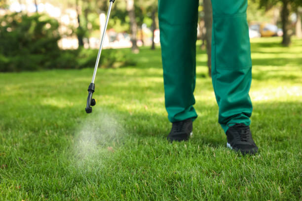 Professional Pest Control in Eastman, GA