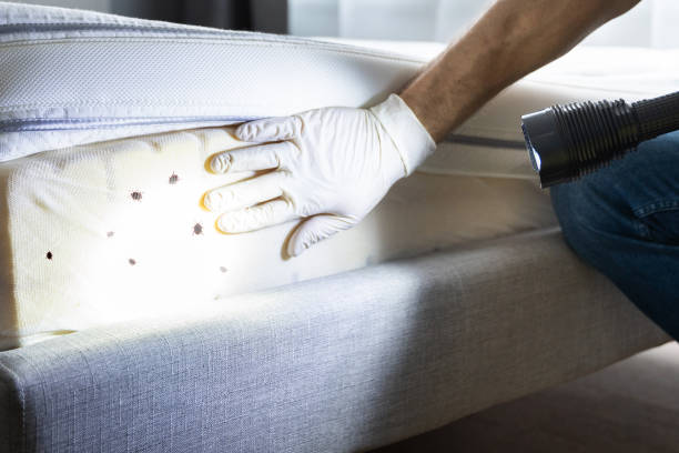 Best Best Pest Control Companies  in Eastman, GA