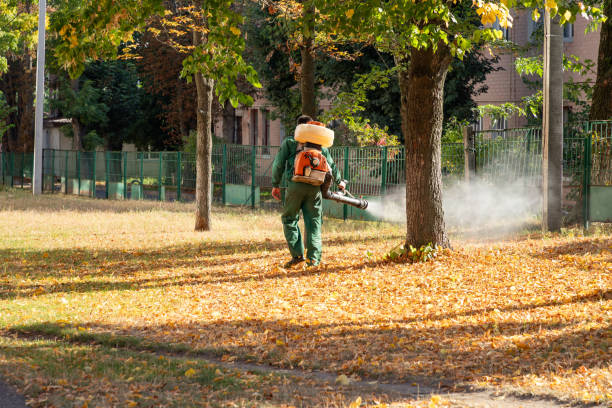 Wasp Removal Services in Eastman, GA