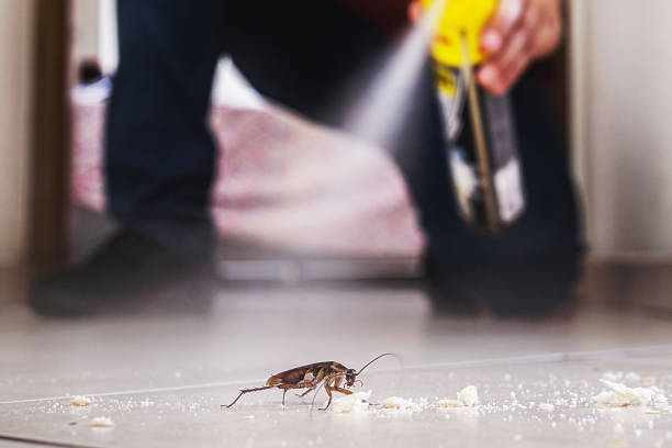 Best Pest Prevention Services  in Eastman, GA