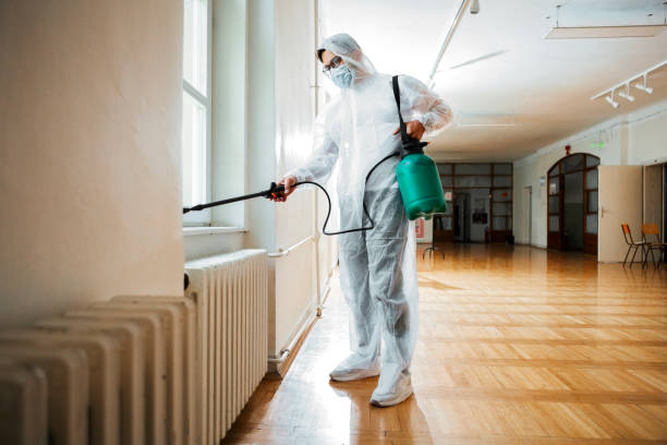 Best Wasp Removal Services  in Eastman, GA