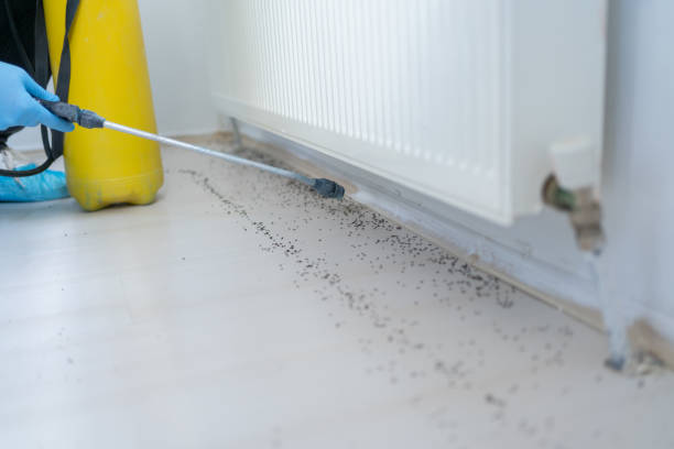Best Cockroach Control Services  in Eastman, GA