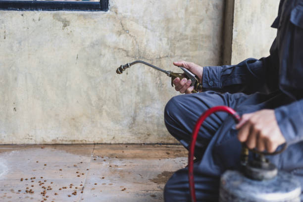 Best Mosquito Control Services  in Eastman, GA