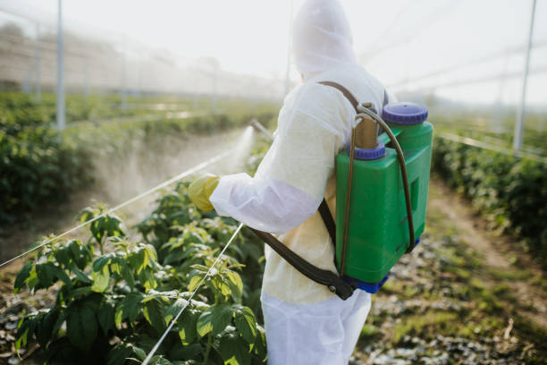  Eastman, GA Pest Control Pros